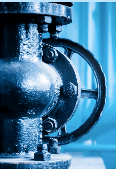 Madis - Mask group(21)