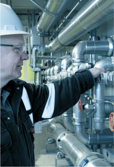 Madis - Mask group(22)